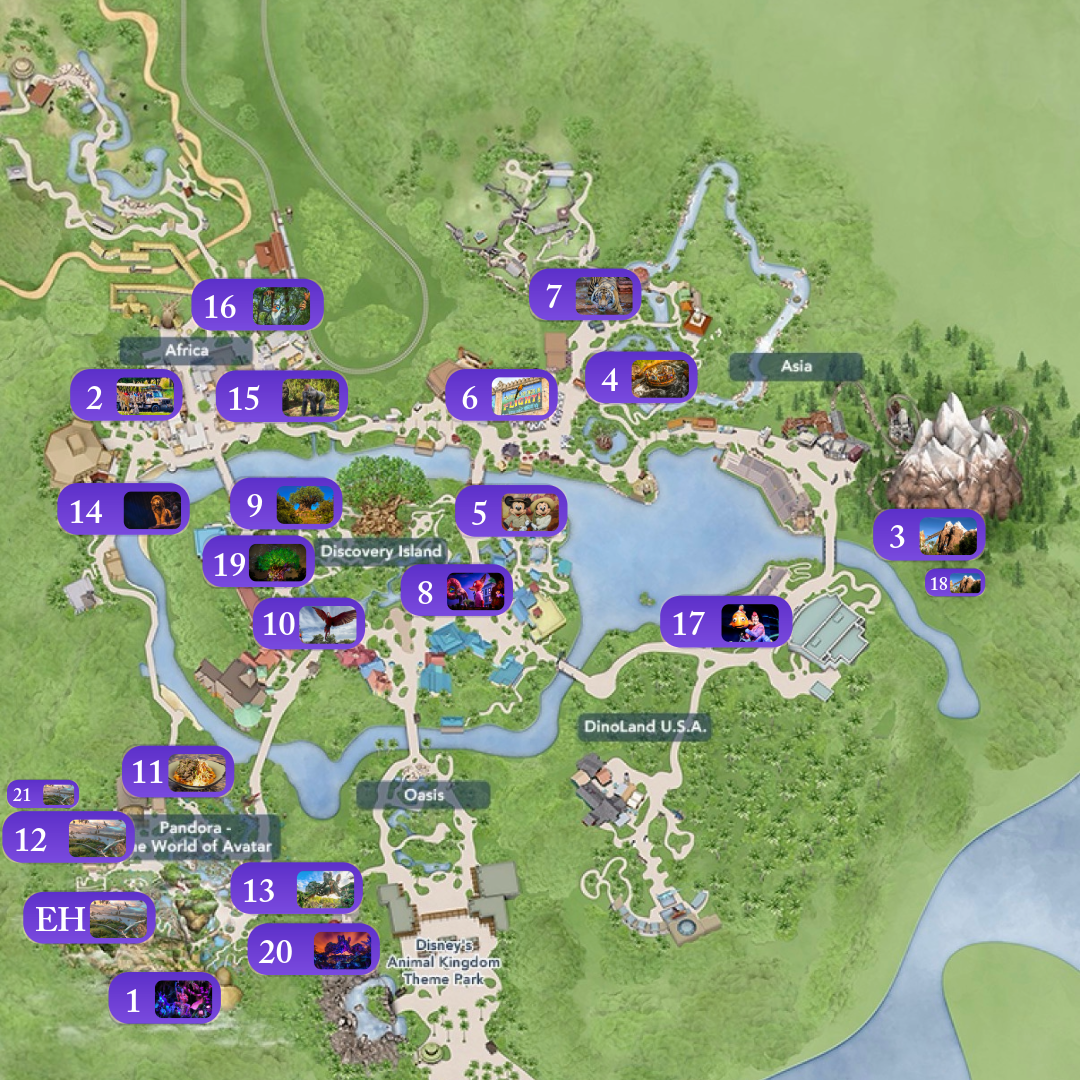 Mapa estrategia Animal Kingdom