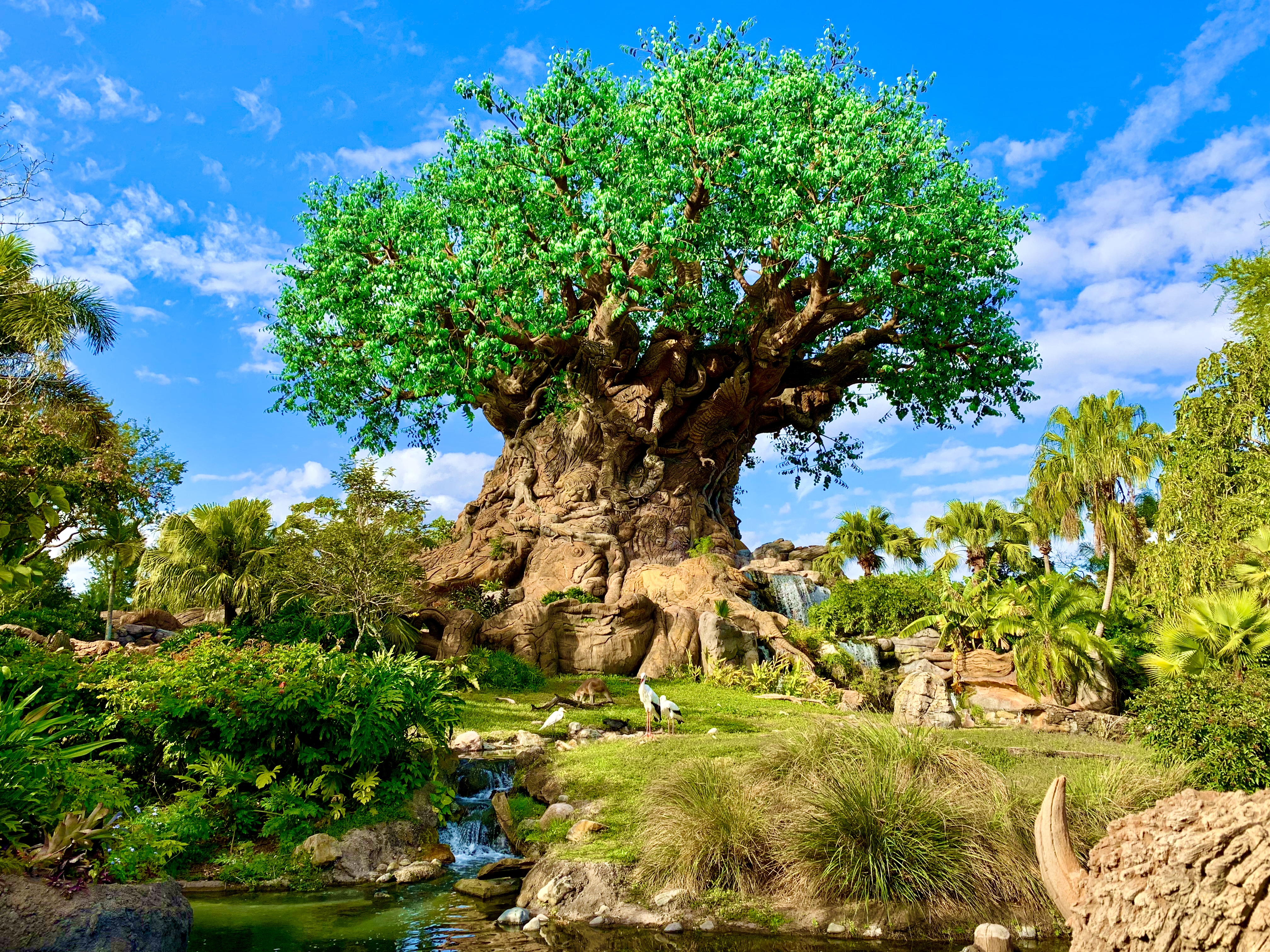 El Árbol de la Vida en Animal Kingdom
